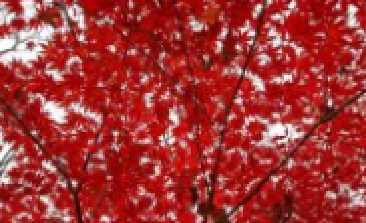 �紵�����������������㶯�����������������ķ�