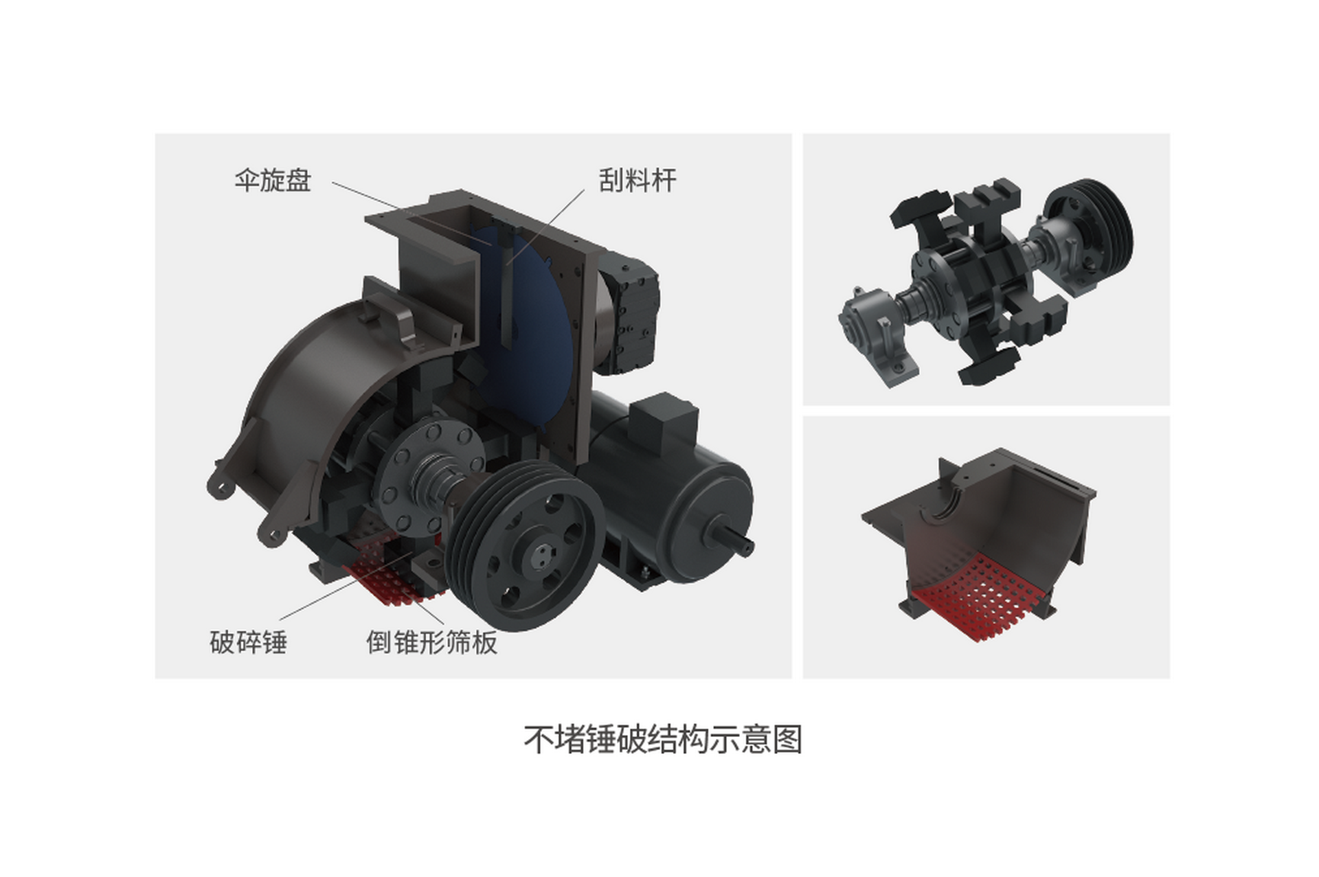 ×ðʱ¿Áú-Öйú¹Ù·½ÍøÕ¾